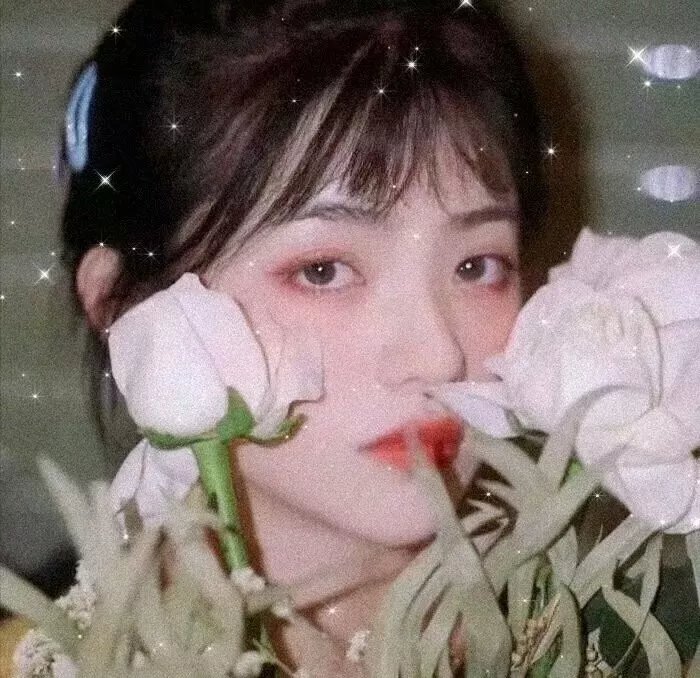 王国